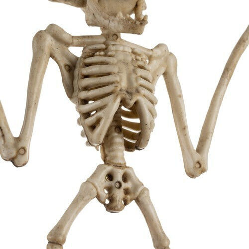 Accesoriu de Carnaval Alb pentru Halloween 1buc