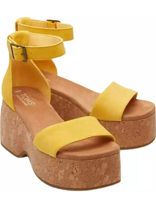 Toms