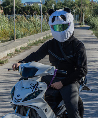 Panda Motorcycle Helmet Accessories 8711791804752