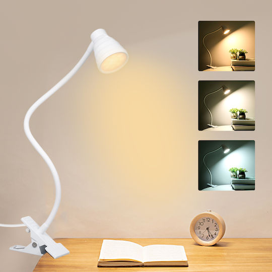 LED in Weißer Farbe ZY11943QWS55
