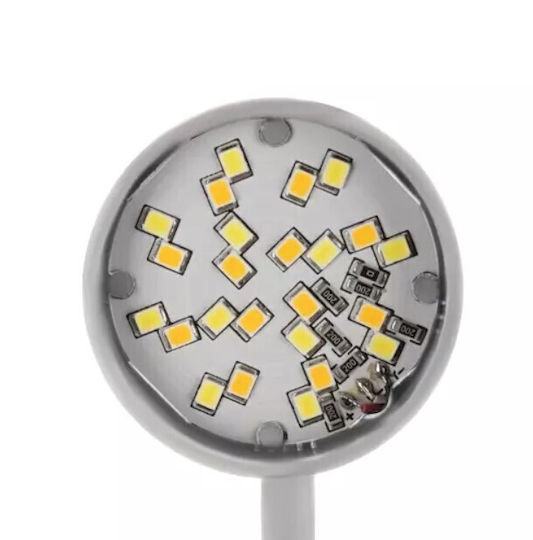 LED in Weißer Farbe ZY11943QWS55