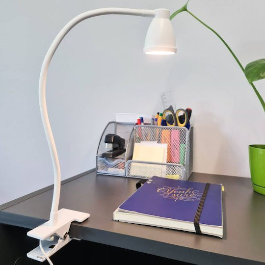 LED in Weißer Farbe ZY11943QWS55