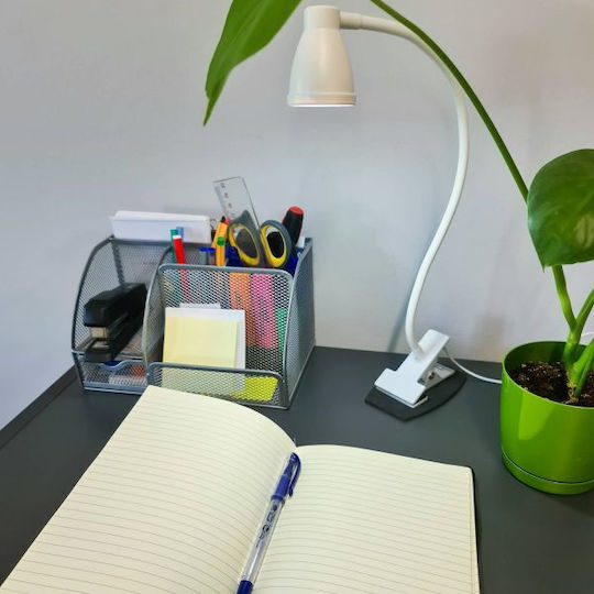 LED in Weißer Farbe ZY11943QWS55