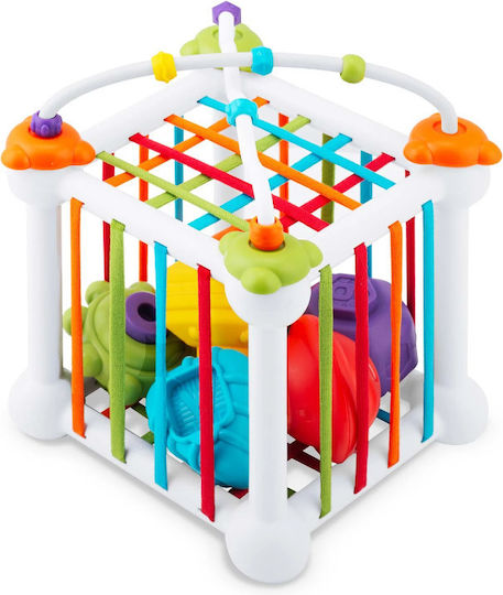 Ricokids Cub de Activități