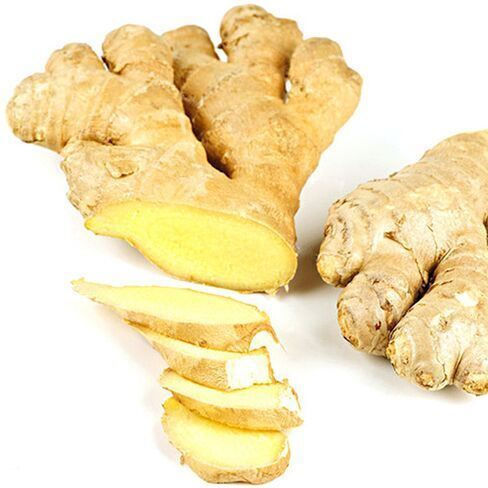 Panora Ginger 500gr
