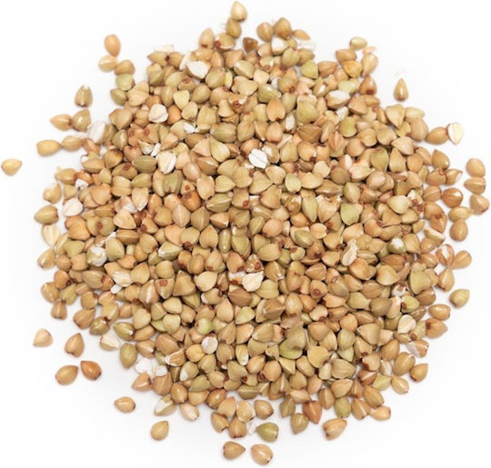 Panora Seeds Buckwheat 100gr 1pcs