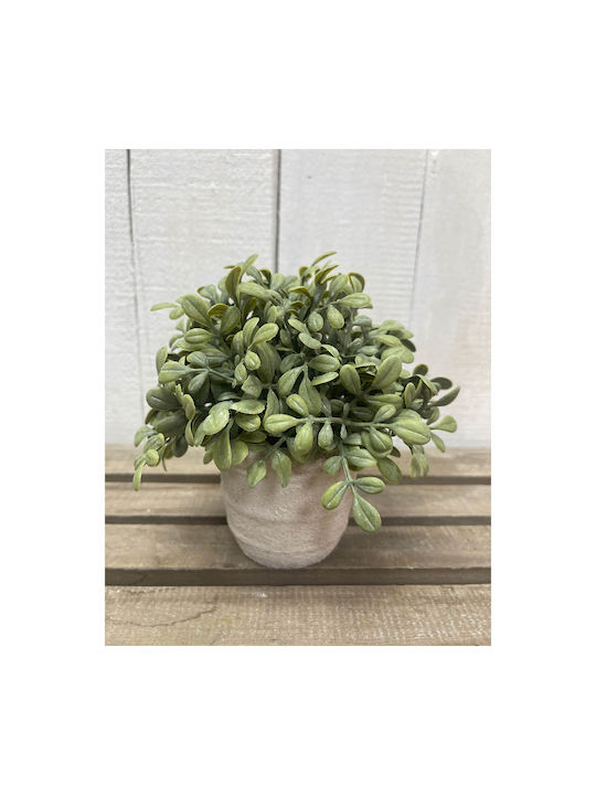 Ankor Artificial Plant in Small Pot Buxus (Common box) Beige 1pcs