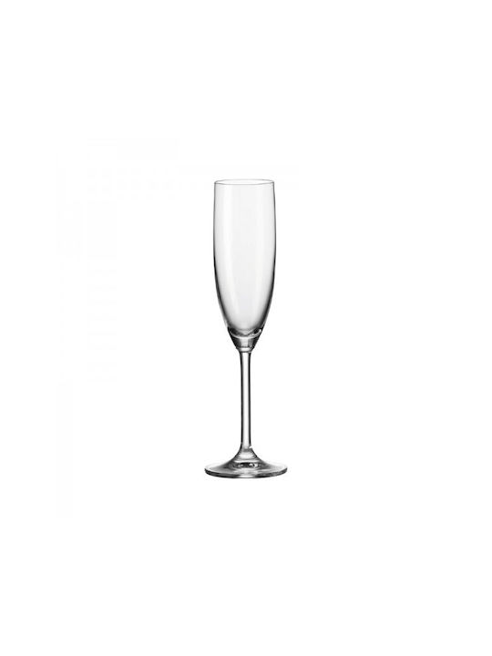 Leonardo Daily Set of Glasses Champagne made of Glass Stemmed 200ml 6pcs