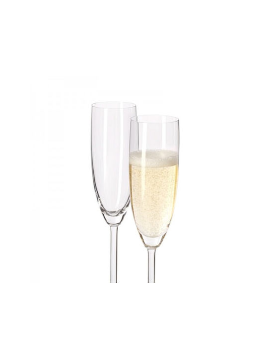 Leonardo Daily Set of Glasses Champagne made of Glass Stemmed 200ml 6pcs