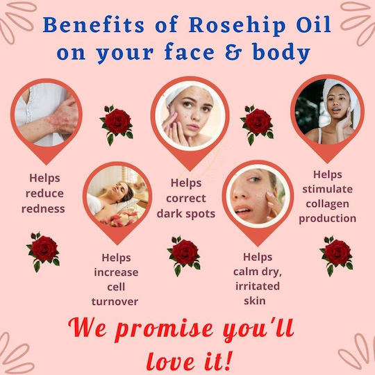 Rose Oil Vegetable Oil 500 ml