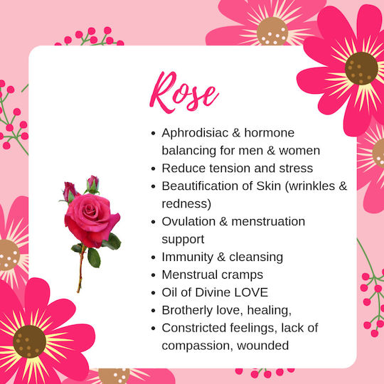 Rose Oil Vegetable Oil 500 ml