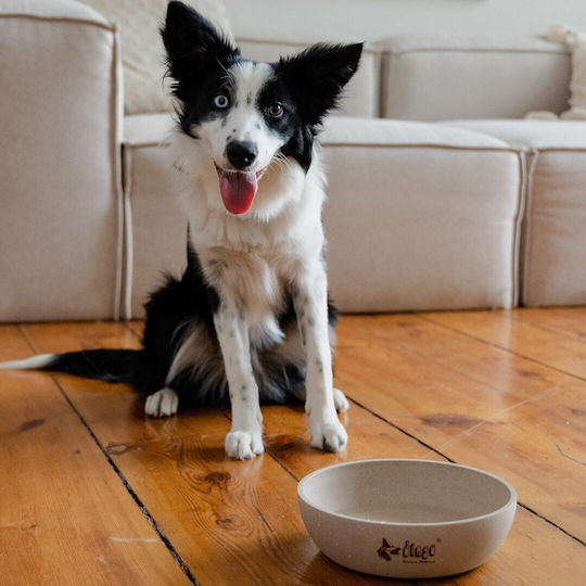 Dingo Kunststoff Schalen Futter für Hund & Katze 200ml 12.5cm in Beige Farbe