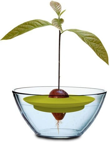 Romberg Gardening Accessories