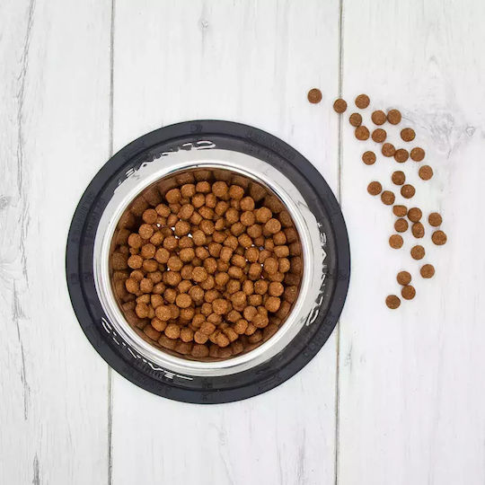 12kg Dry Food Diet for Adult Dogs