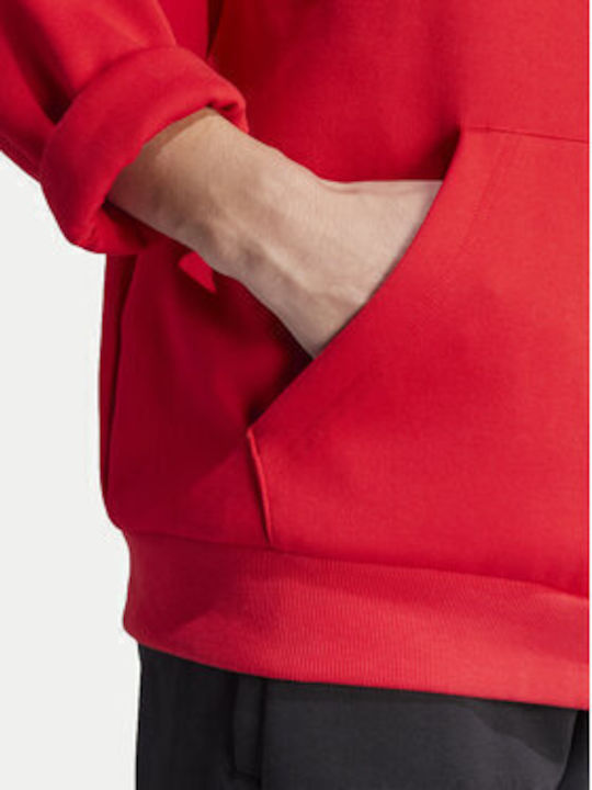 Future Icons Badge Sport Sweatshirt with Hood Red