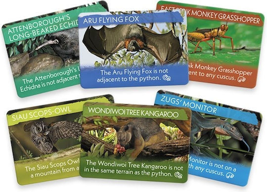 Joc de Societate The Search for Lost Species pentru 1-4 Jucători 13+ Ani (EN) Renegade Game Studios