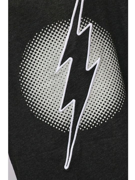 Warner Bros The Flash T-shirt Gray Baumwolle