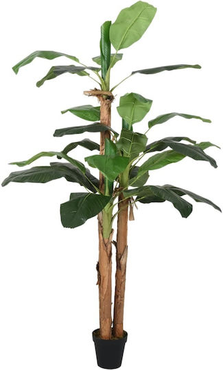 Outdoor Musa Tree vidaXL