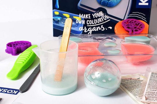 Kosmos Σετ Ανατομία Του Ανθρώπινου Σώματος STEM Educational Game Knowledge for 8-12 Years Old