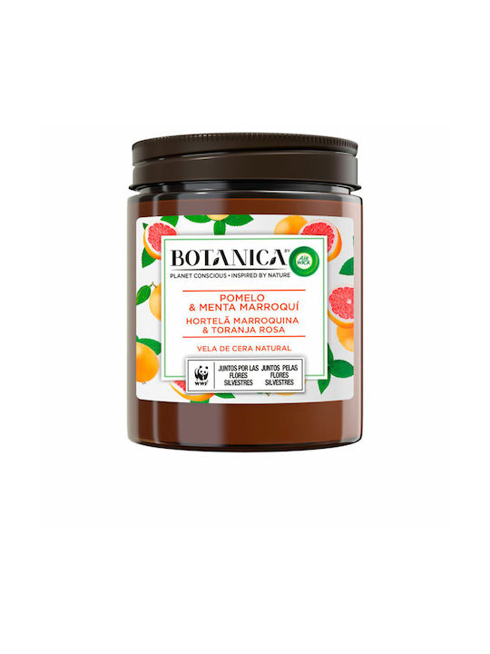 Airwick Lumânare Aromată Botanica Maro 205gr 1buc