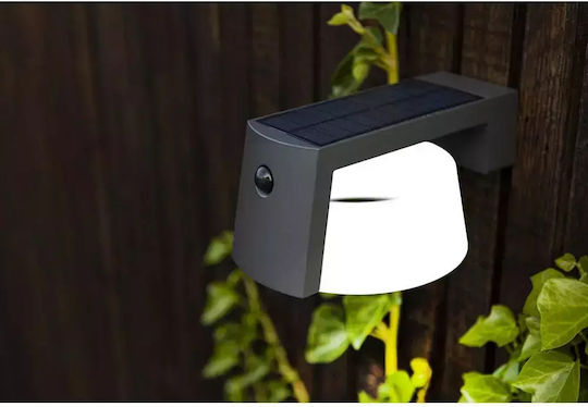 Lutec Wall Mounted Solar Light 9.5W 1000lm Natural White 4000K with Motion Sensor and Photocell IP44 16cmx21.7cmx9.6cmcm