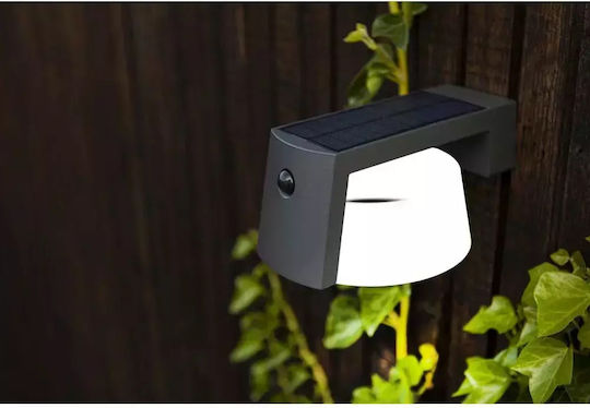 Lutec Wall Mounted Solar Light 9.5W 1000lm Natural White 4000K with Motion Sensor and Photocell IP44 16cmx21.7cmx9.6cmcm
