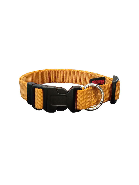 Pet Interest Plain Line