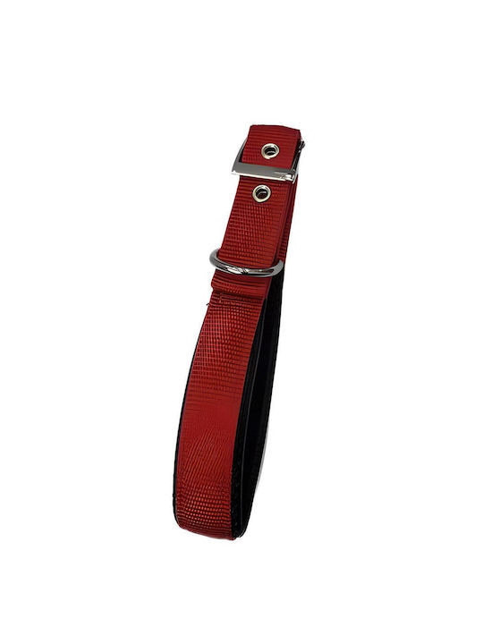 Pet Camelot Dog Collar in Green color 25mm x 55cm