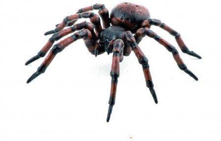 Spider Figurina Chat