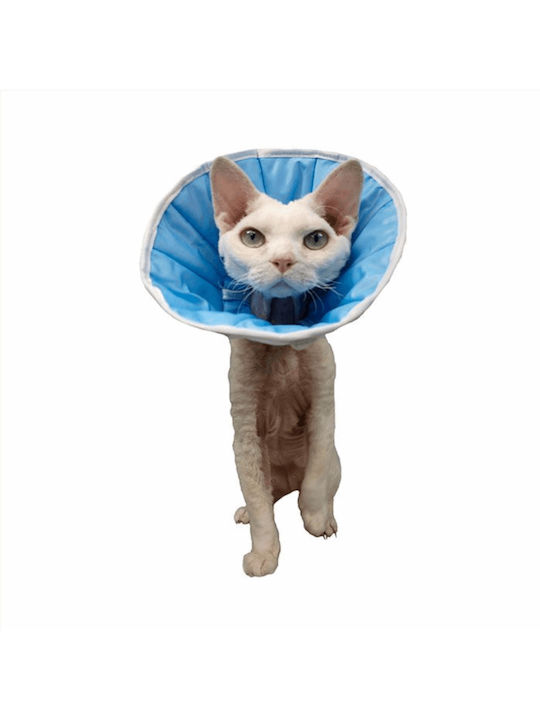 Grande Finale Hundehalsband aus in Blau Farbe 36cm