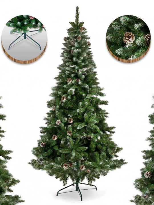 Christmas Tree Needle Pine 210cm