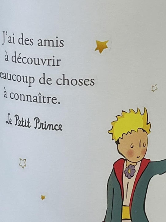 Warm White Stainless Steel Little Prince