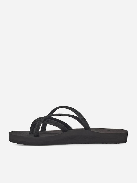 Teva