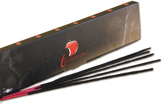 Tentacion Αρωματικά Sticks με Φερομόνες με Άρωμα Cinnamon 20τμχ