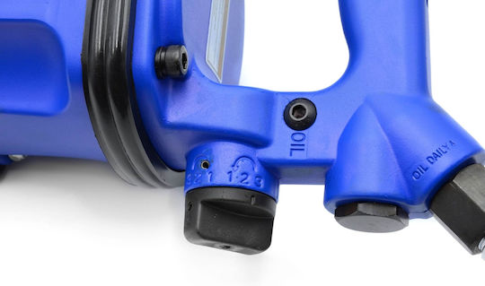 Geko G03182