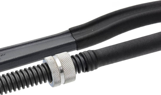 Geko Cheie Torx