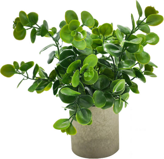 Plantă Artificială în Ghiveci Mic Green 25cm Home & Camp