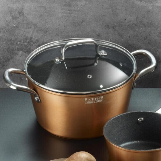 Pintinox din Aluminiu 7lt / 28cm