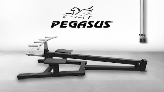 Pegasus Κωπηλατική χωρίς Βάρη