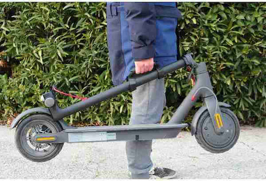 Wantalis Pikee Fahrradtransportgurt