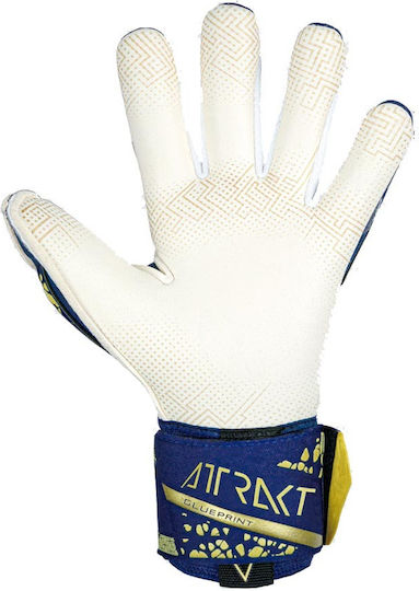 Reusch Attrakt Adults Goalkeeper Gloves Blue