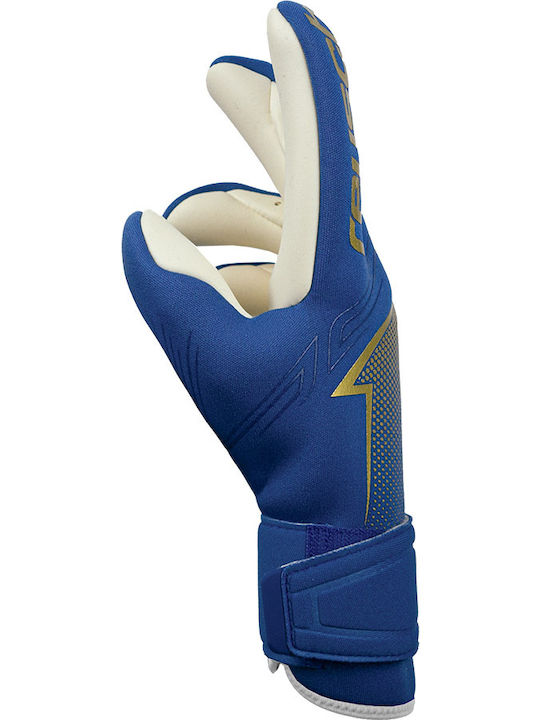 Reusch Arrow Gold XM Голмански ръкавици за Възрастни Син