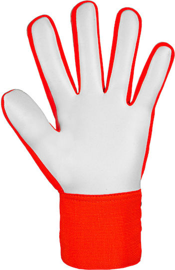 Reusch Reusch Attrakt Starter Solid Adults Goalkeeper Gloves Orange