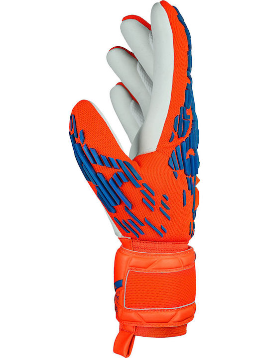 Reusch Attrakt Freegel Silver Γάντια Τερματοφύλακα Ενηλίκων Κόκκινα