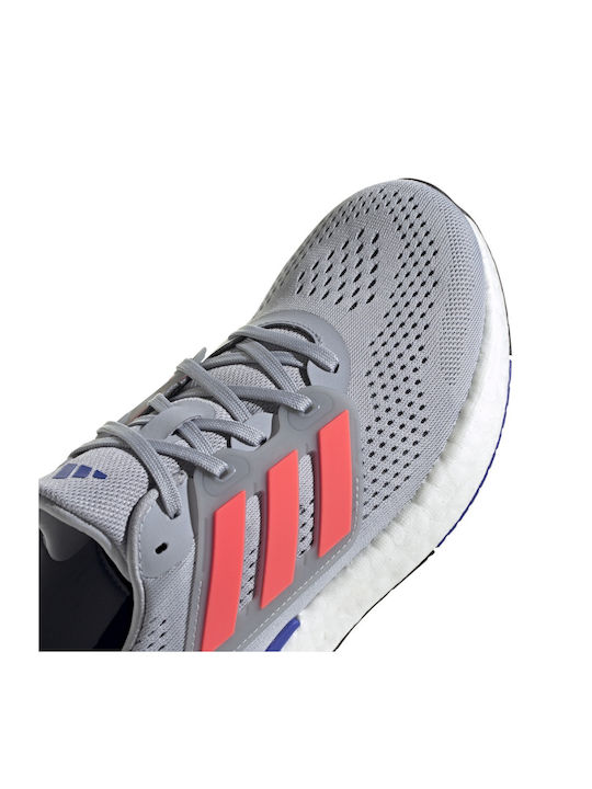 Pureboost 23 Herren Sportschuhe Laufen GRI