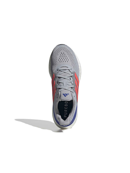 Pureboost 23 Herren Sportschuhe Laufen GRI
