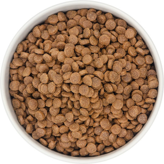 Primal Instinct 2kg Ξηρά Τροφή Σκύλων με Γαλοπούλα, Πατάτες, Κοτόπουλο, Συκώτι, Σολομό και Μήλο