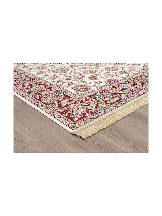 Newplan 553/301440 Rug Round Summer with Fringes Brown