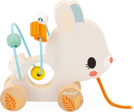 Janod Animal made of Wood for 12++ Months (Various Designs/Assortments of Designs) 1pc