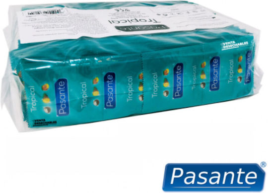 Pasante Condoms Tropical 144pcs 53mm Natural